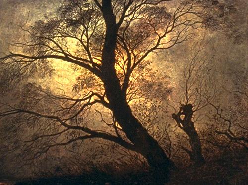 Caspar David Friedrich Trees in the moonlight china oil painting image